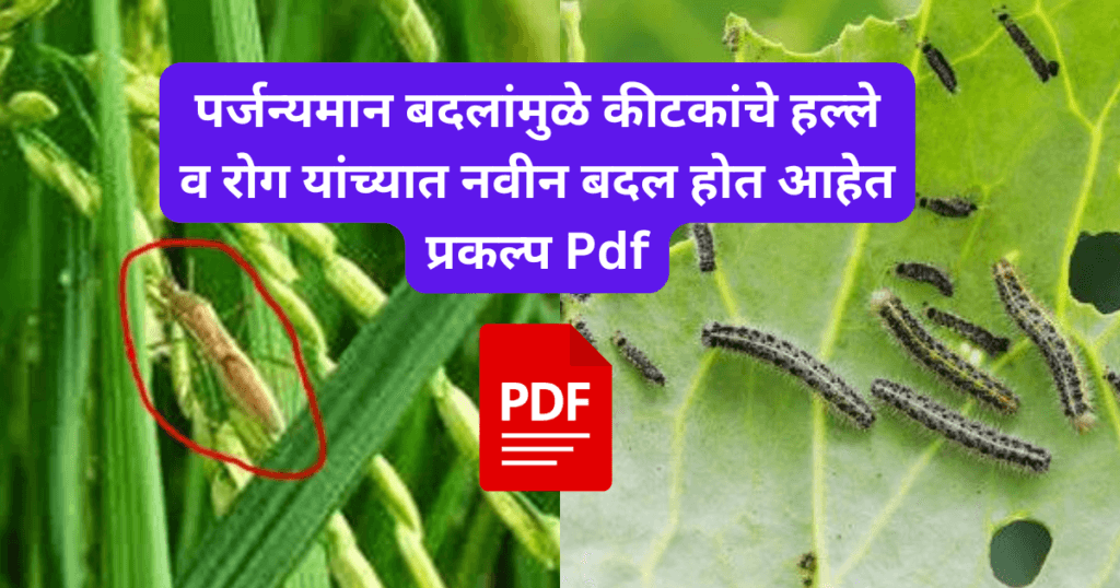 Parjanman Badlamule Kitkanche halle v rog yancha Navin Badal Hot ahet Prakalpa
